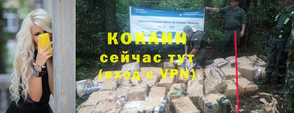 трава Коряжма