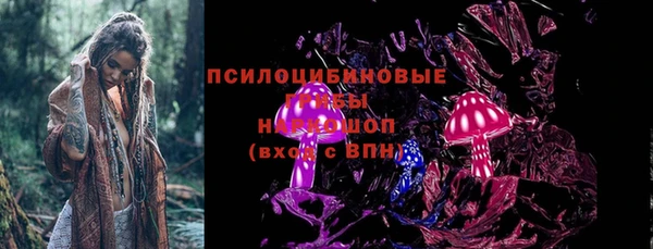 дмт Корсаков
