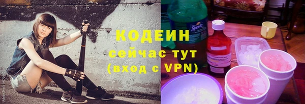 трава Коряжма