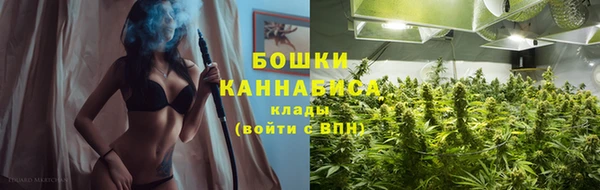 молекула духа Кинешма