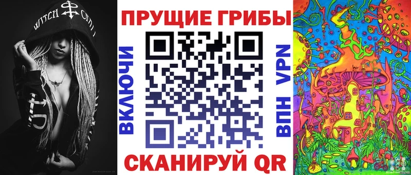 Псилоцибиновые грибы GOLDEN TEACHER  Купить где  Горно-Алтайск 